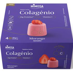 Gelatina de Iogurte Magro Morango Colag&eacute;nio Mimosa