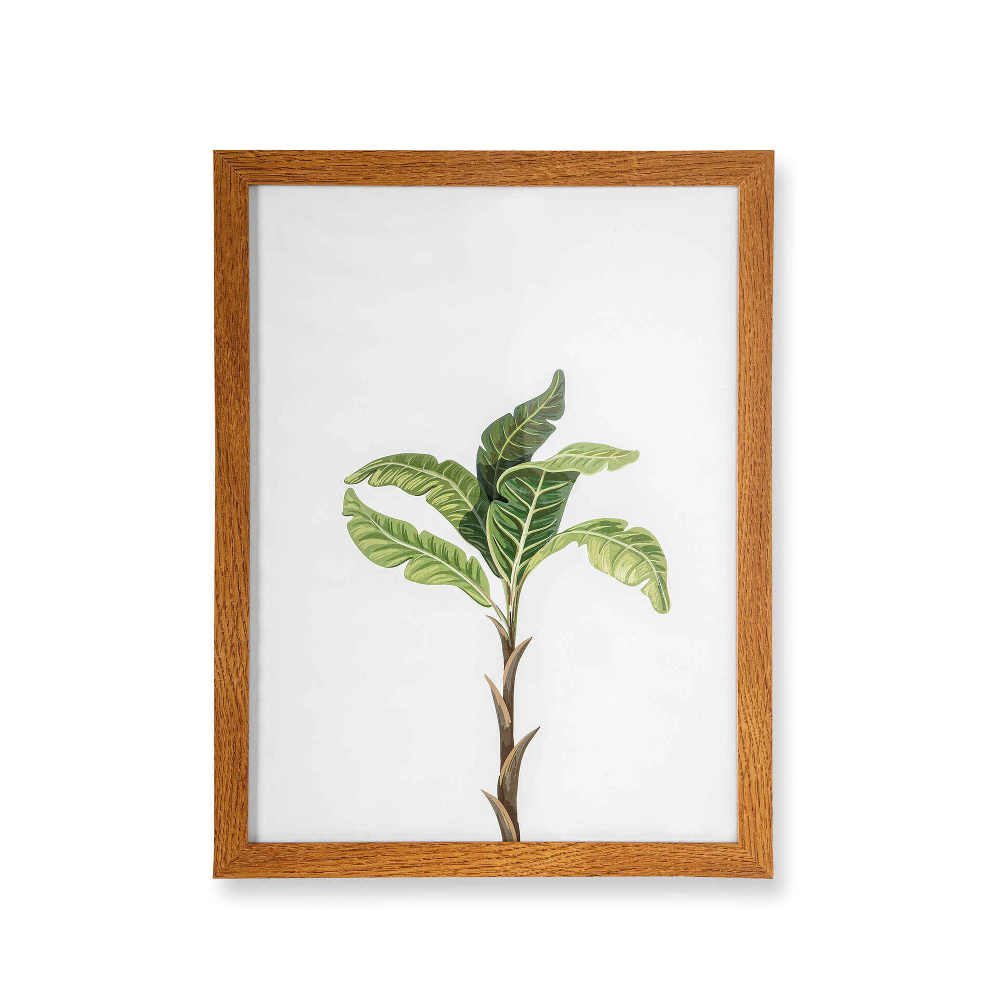 Quadro Decorativo Planta Madeira 30x40 Botanic Quadro Decorativo Planta Madeira 30x40 Botanic