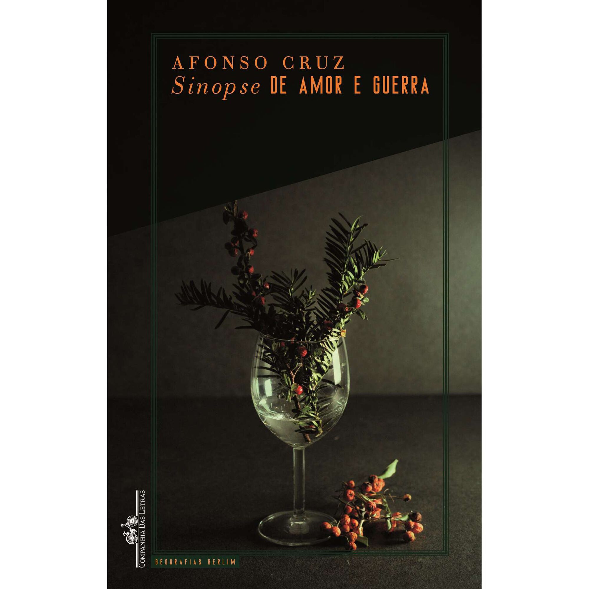 Sinopse de Amor e Guerra de Afonso Cruz