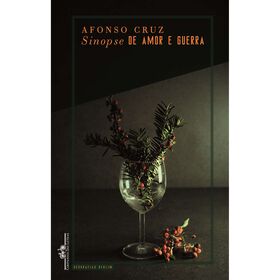 Sinopse de Amor e Guerra de Afonso Cruz