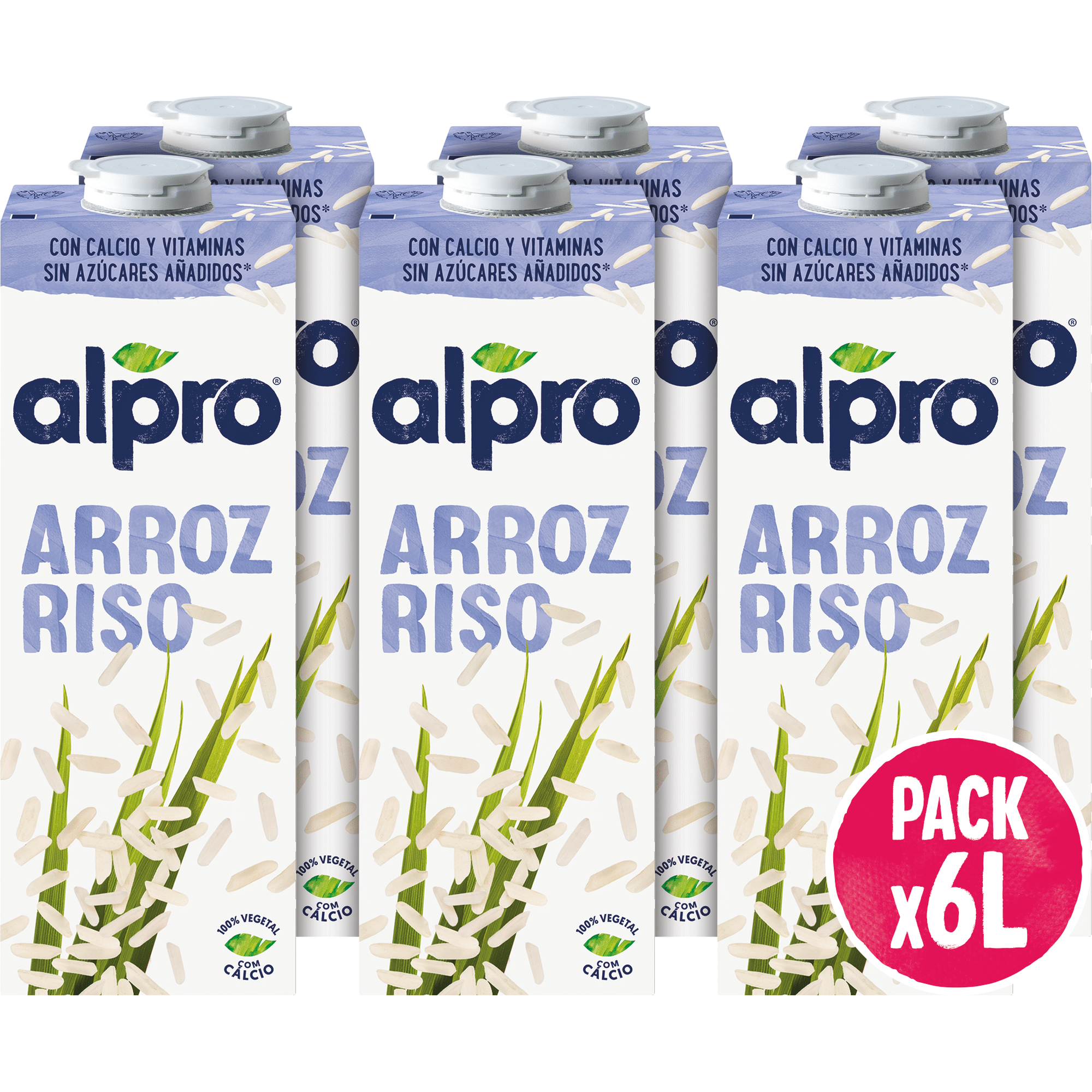 Bebida Vegetal de Arroz
