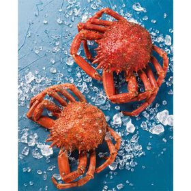 Santola Cozida Fresca