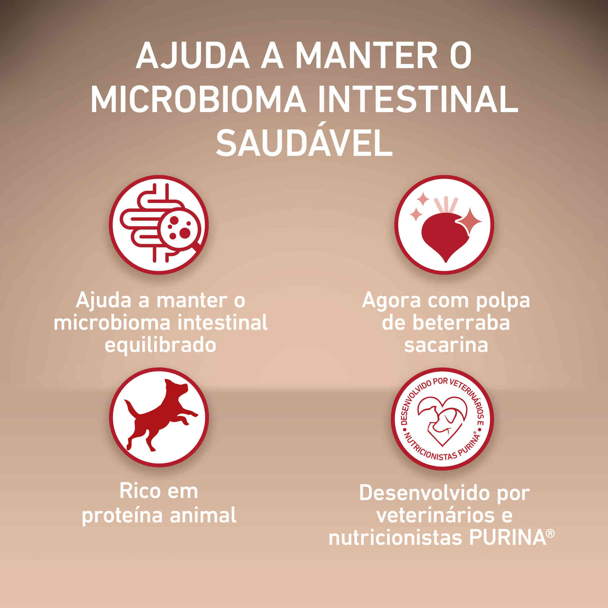 Ra&ccedil;&atilde;o para C&atilde;o Adulto M&eacute;dio e Maxi Frango e Arroz Purina One