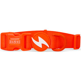 Coleira para C&atilde;o Laranja Neon L Dashi
