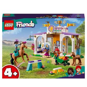 Treino Equestre - 41746