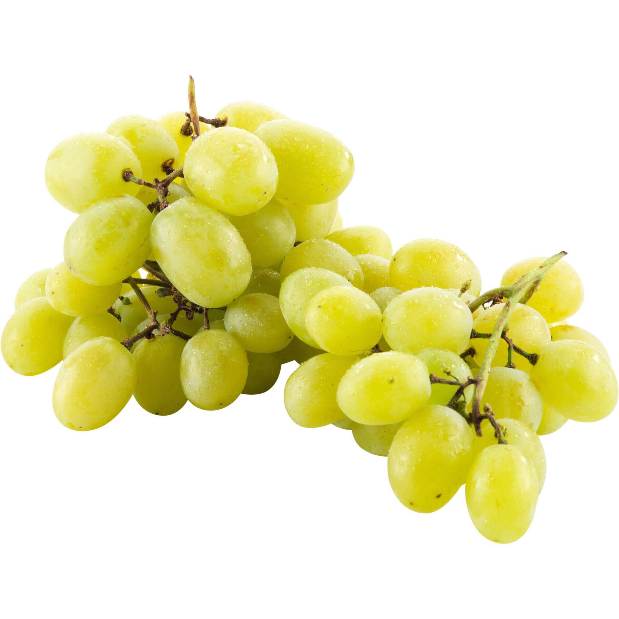 Uva sem Grainha Sabor Algodão Doce