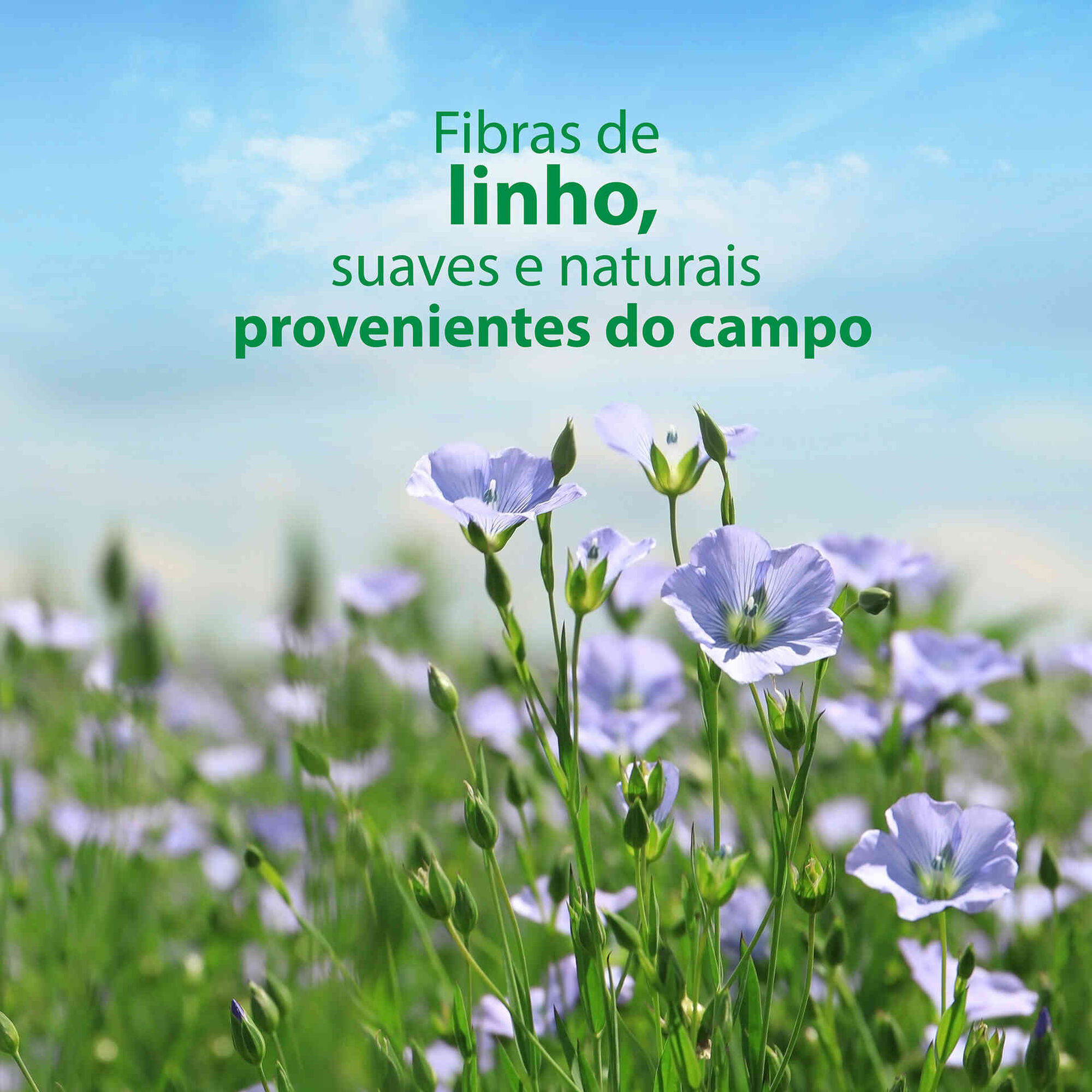 Papel Higi&eacute;nico H&uacute;mido Aloe Vera