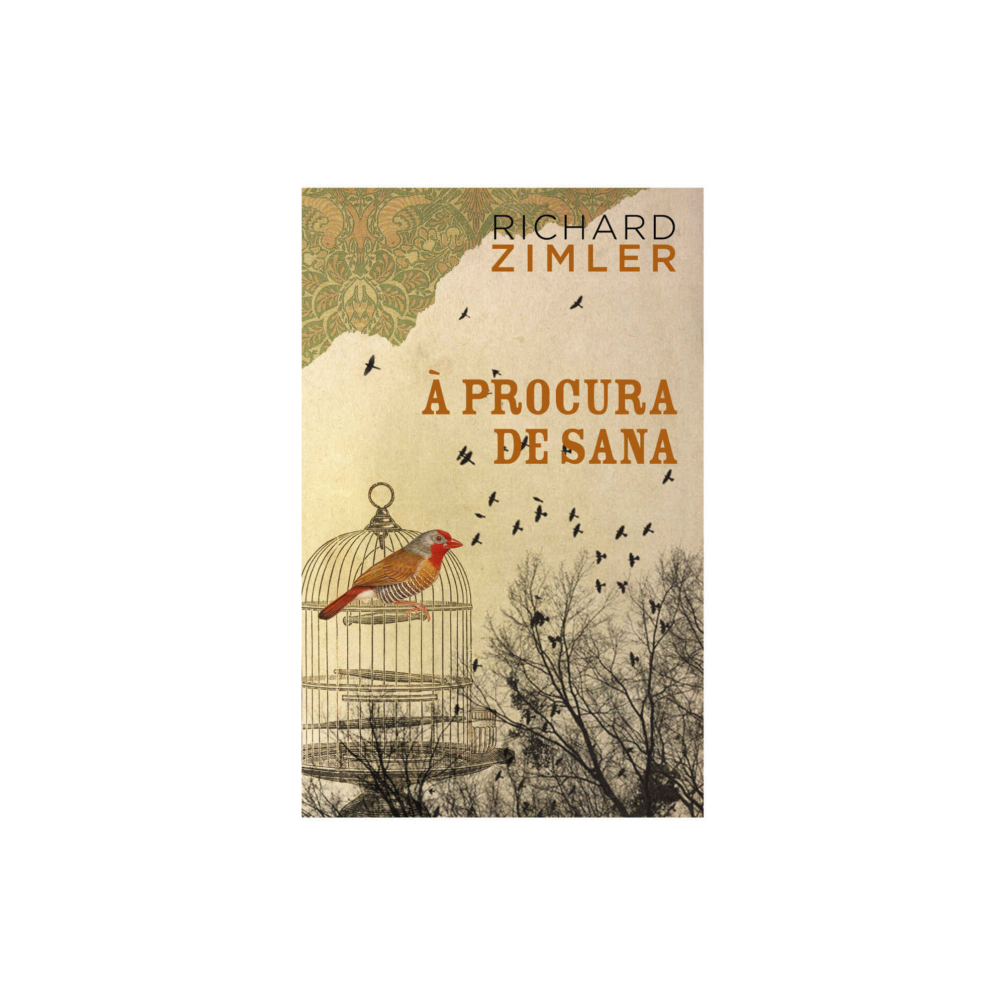 &Agrave; procura de Sana de Richard Zimler