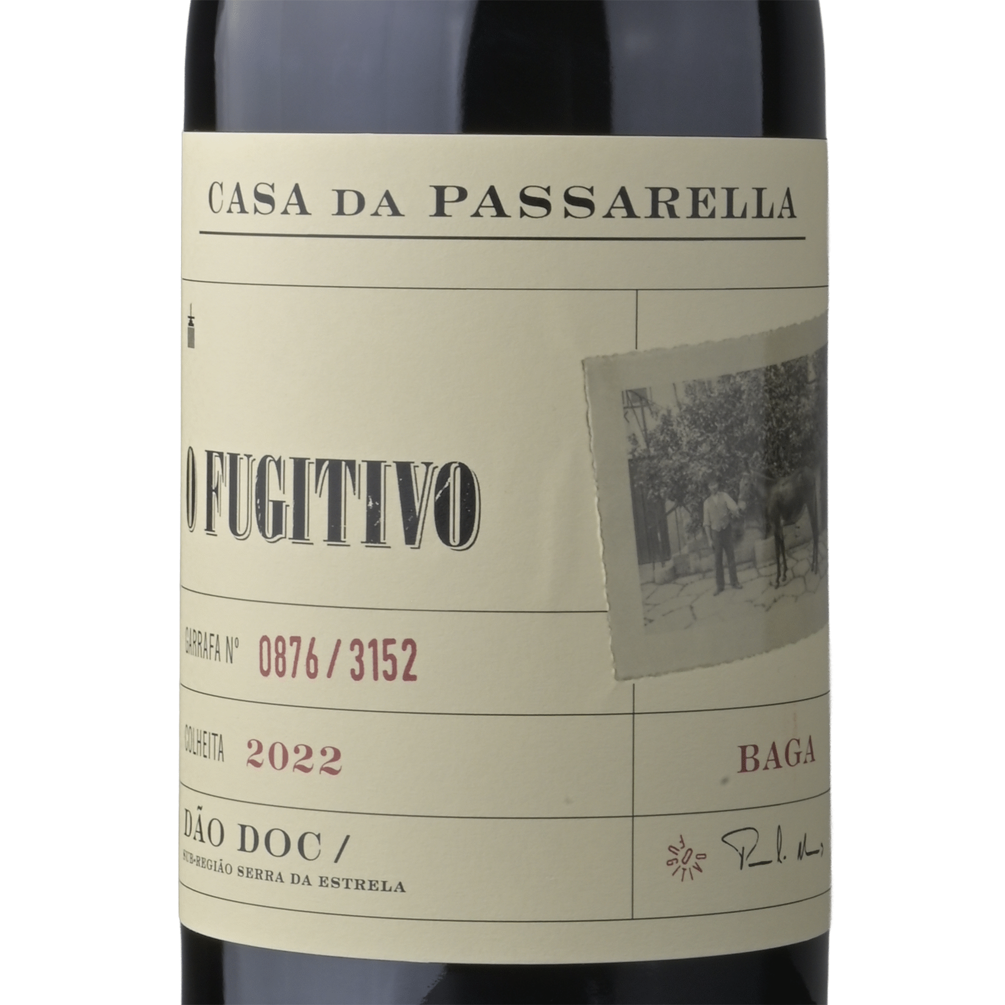 Casa da Passarella O Fugitivo Baga D&atilde;o Vinho Tinto