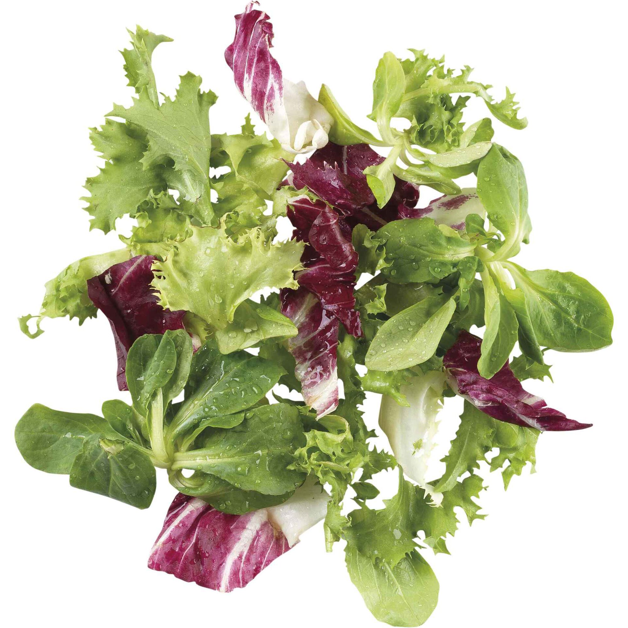 Salada Gourmet Salada Gourmet