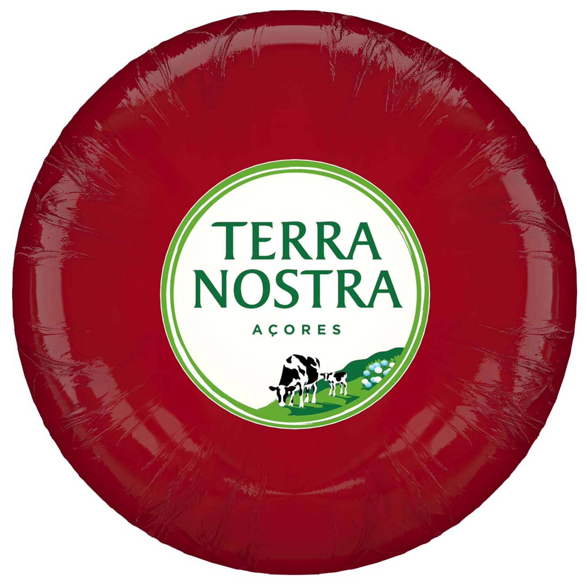 Queijo Flamengo sem Lactose Bola Queijo Flamengo sem Lactose Bola