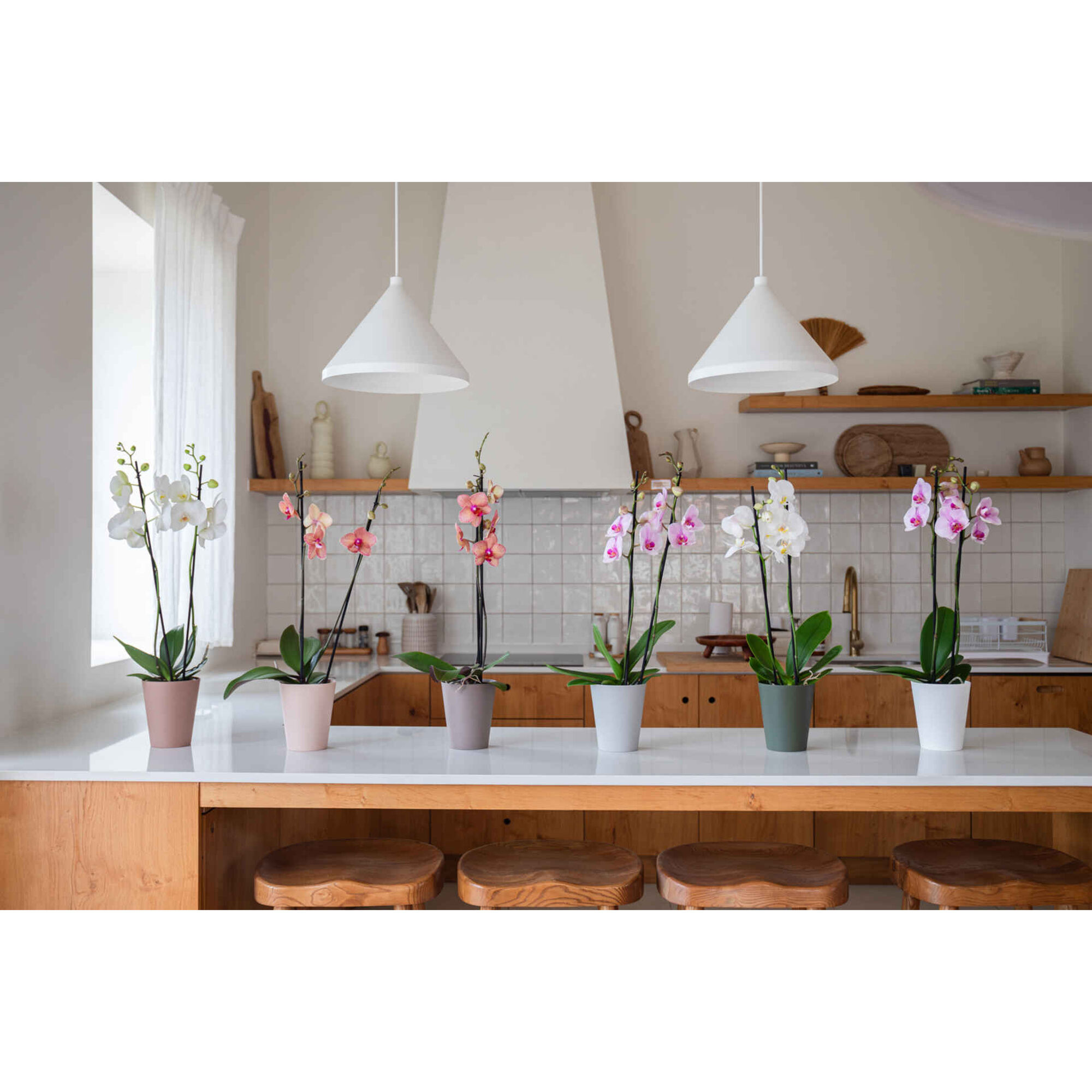 Vaso Redondo Plástico 12,5cm Branco