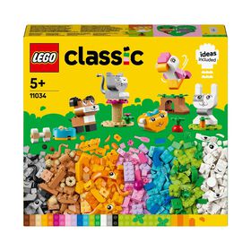 Animais de Estimação Criativos - 11034