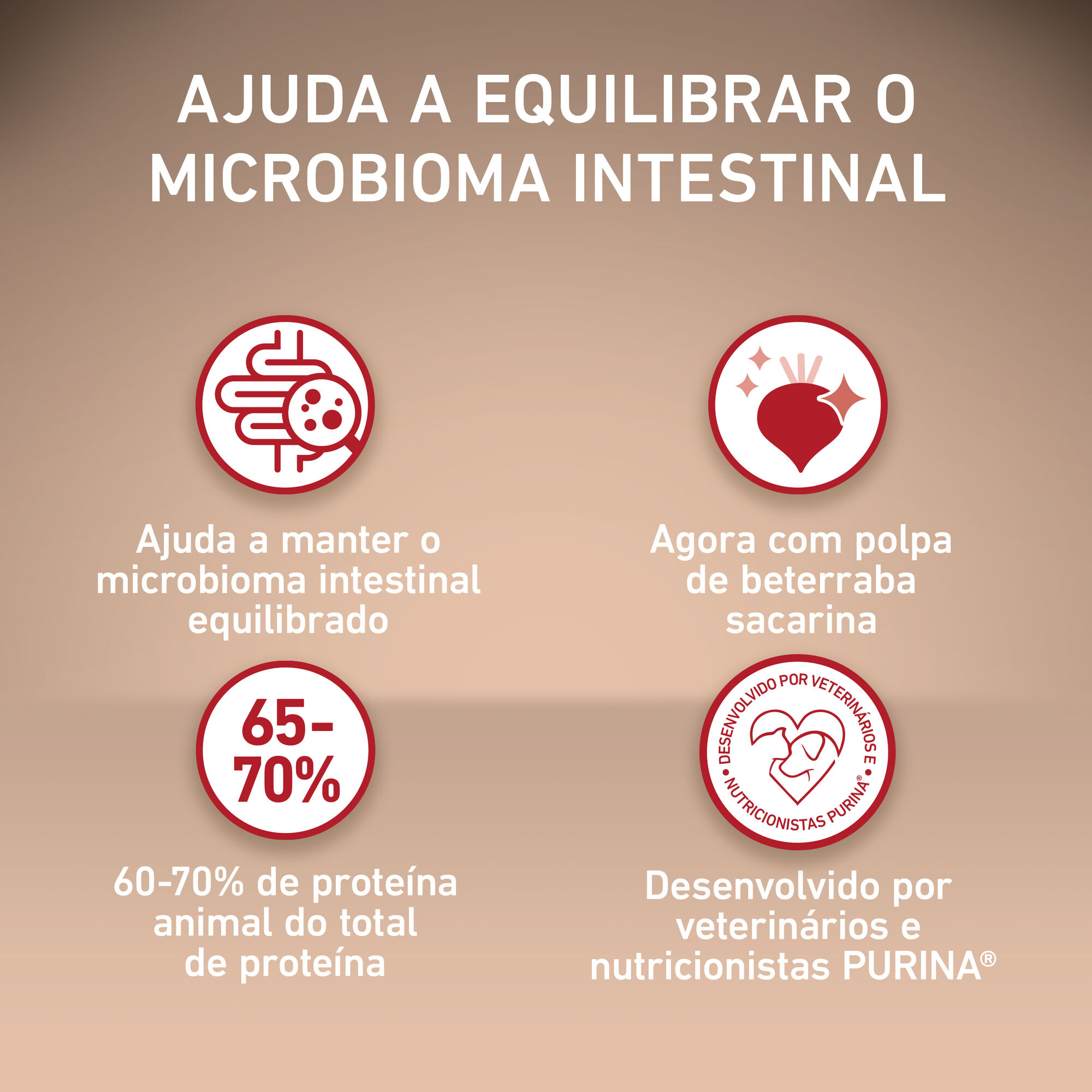 Ra&ccedil;&atilde;o para C&atilde;o Adulto Mini Active Frango e Arroz Purina One Mini