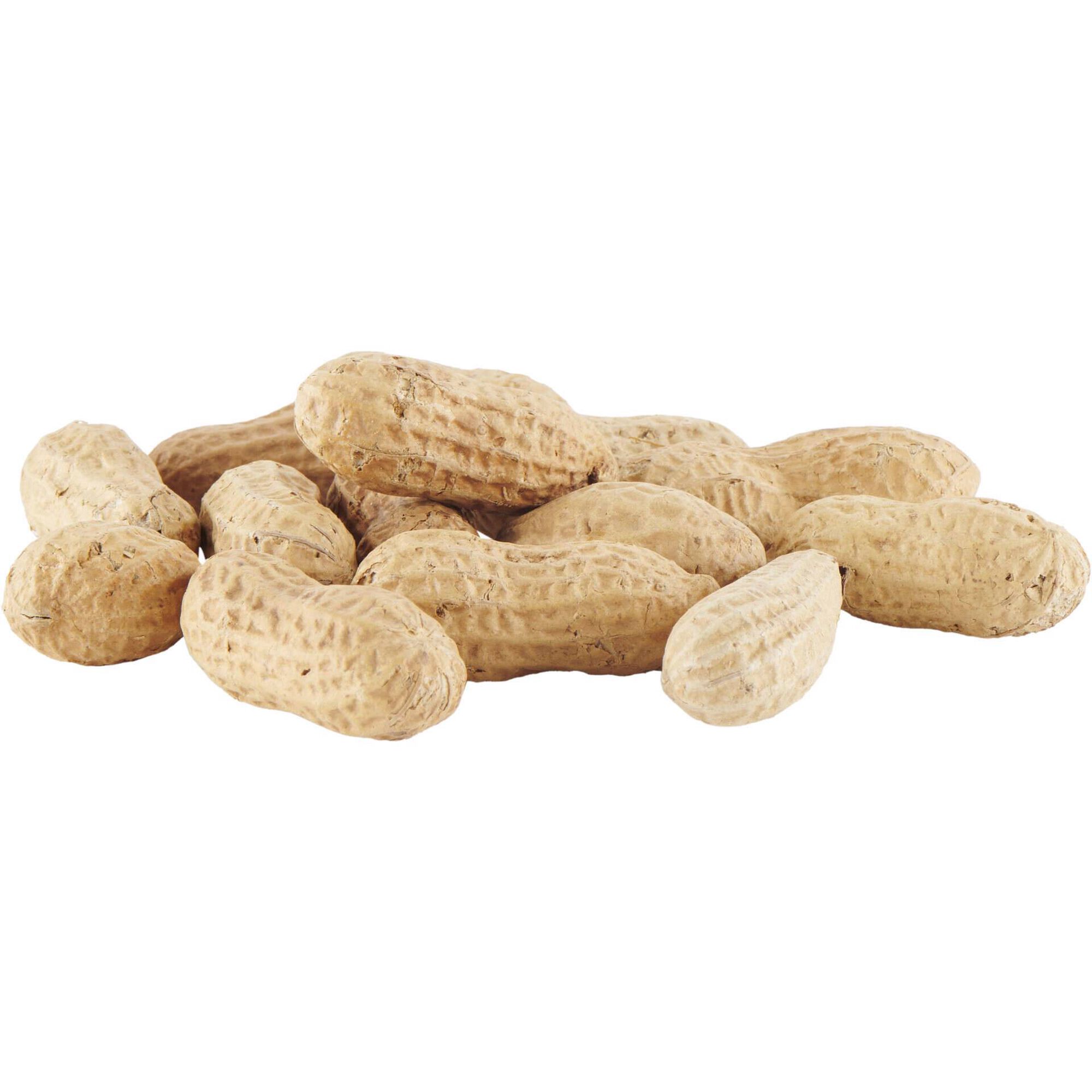 Amendoim Torrado com Casca