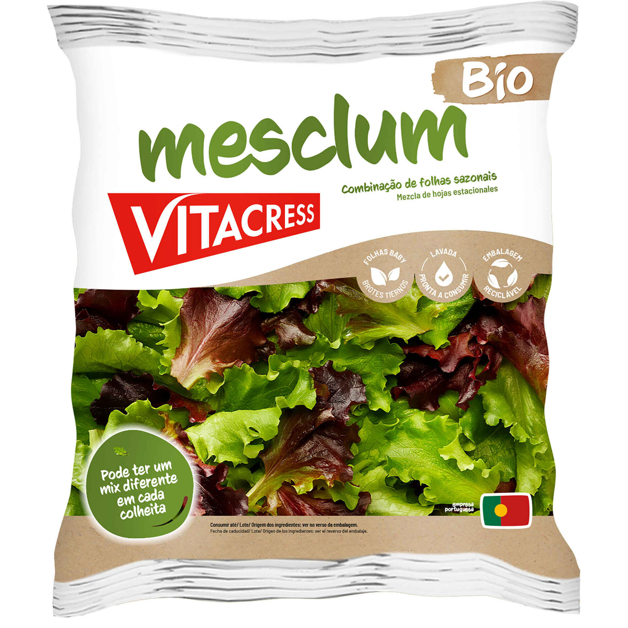 Salada Mesclum Bio