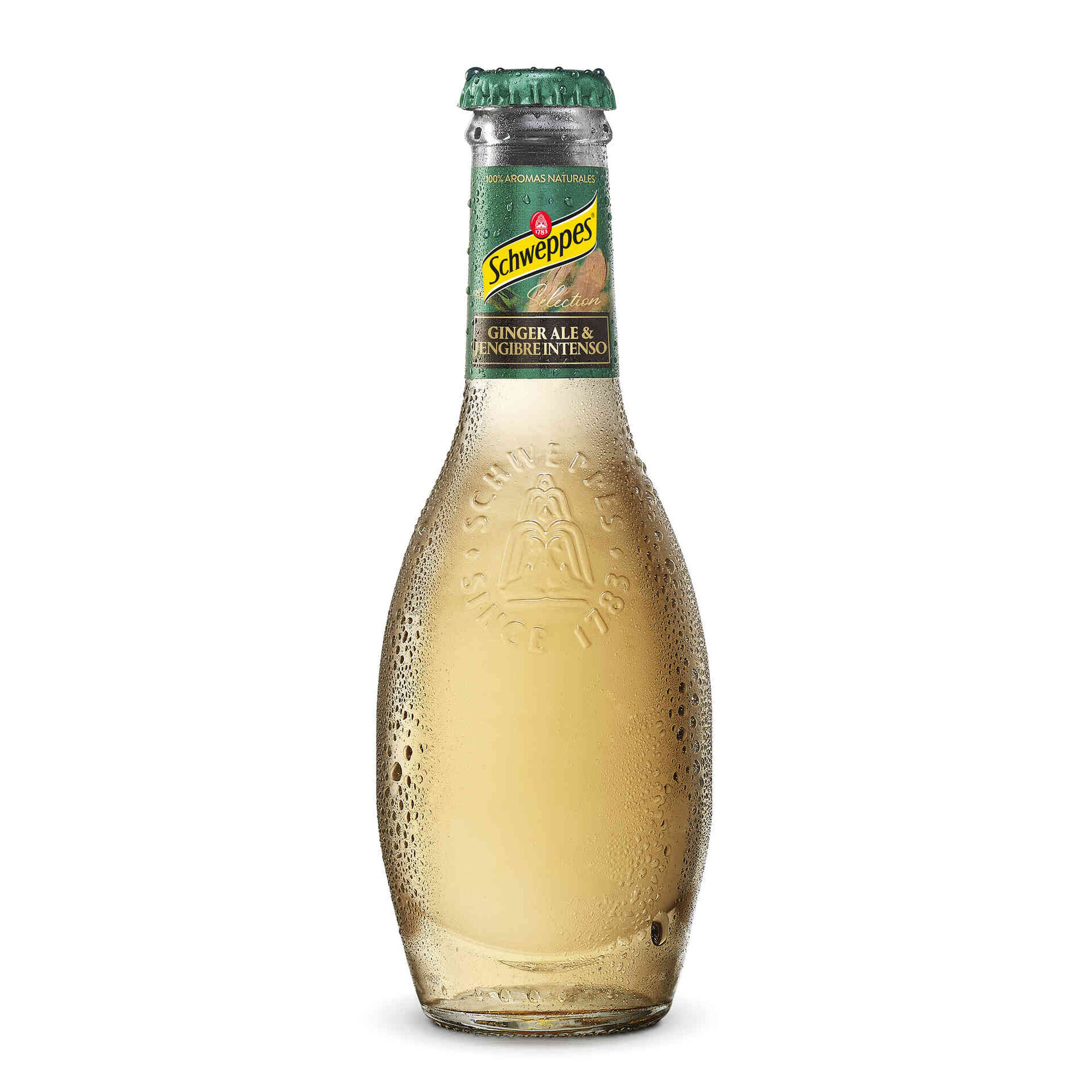 Ginger Ale Premium Ginger Ale Premium