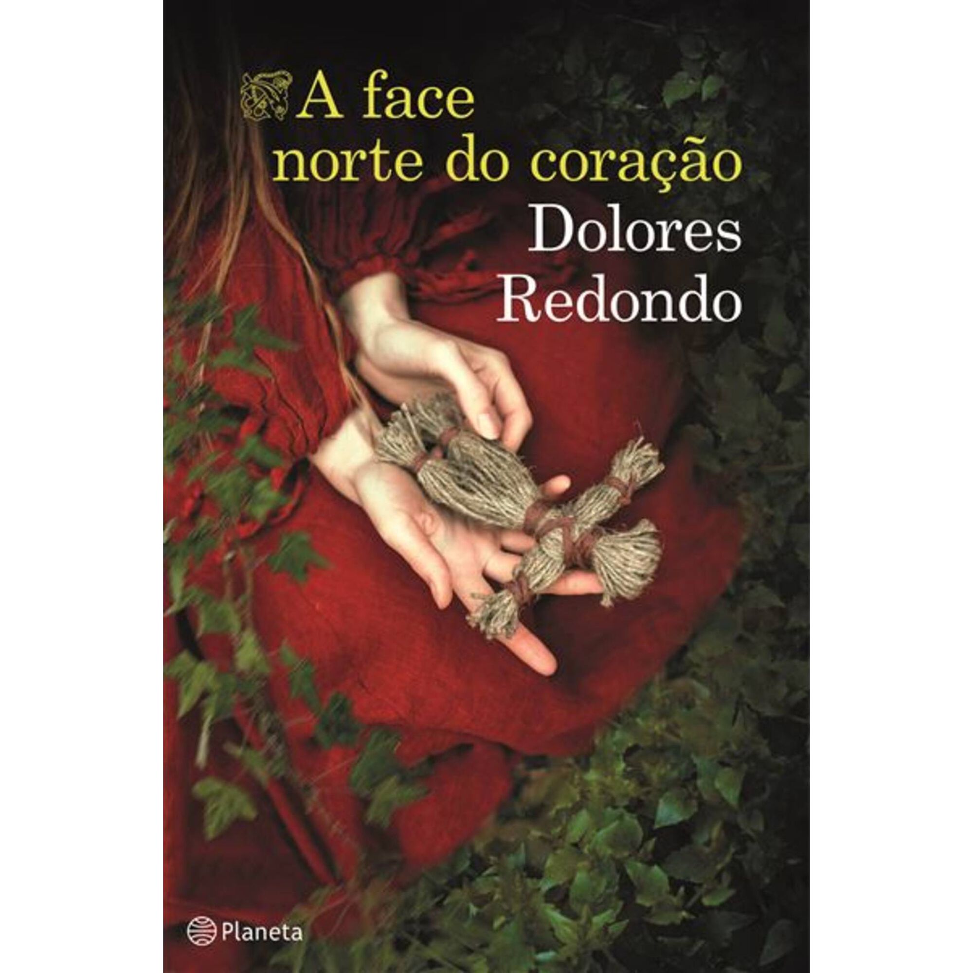 A Face Norte do Coração