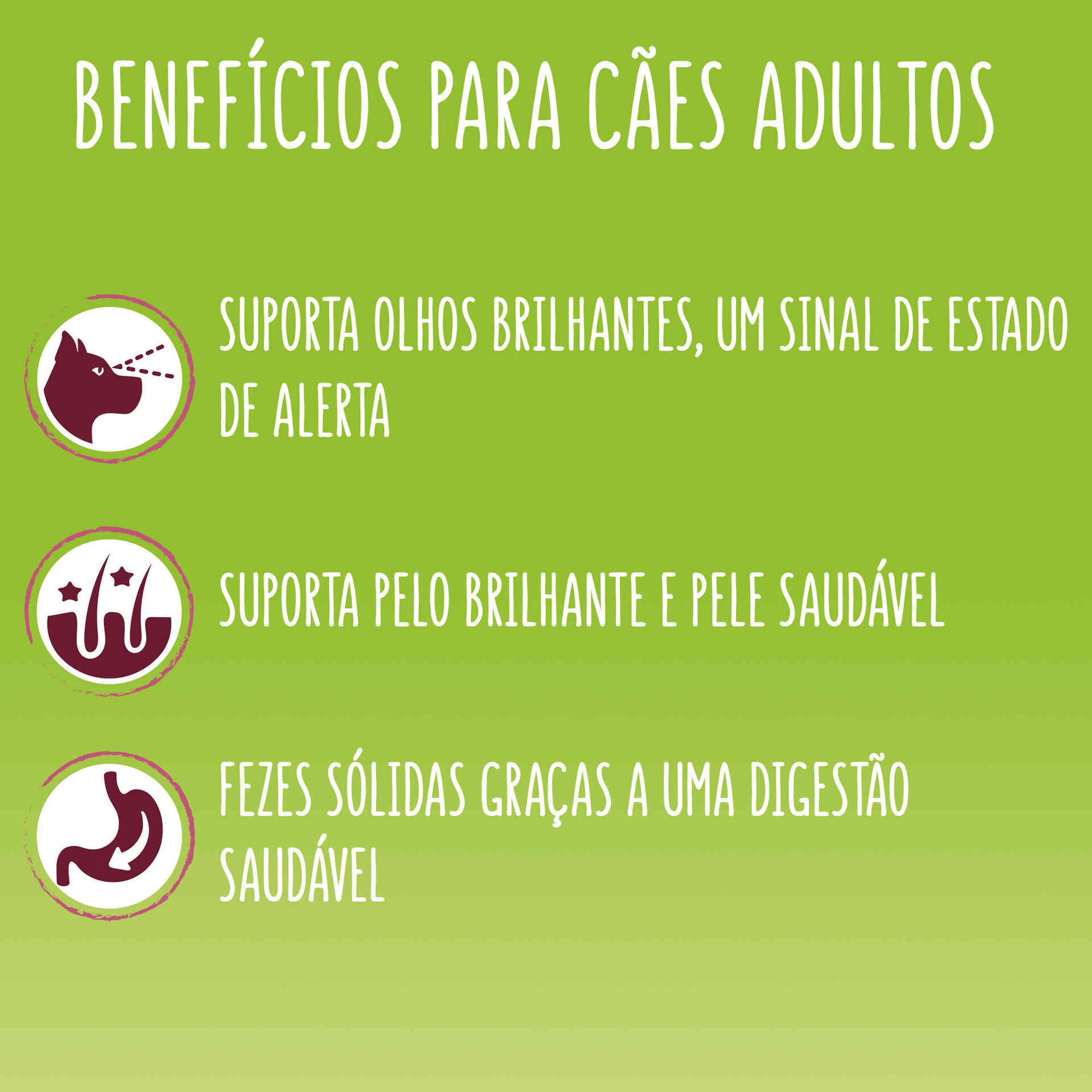 Ração para Cão Adulto Mini Menu Nutrisoft Vaca