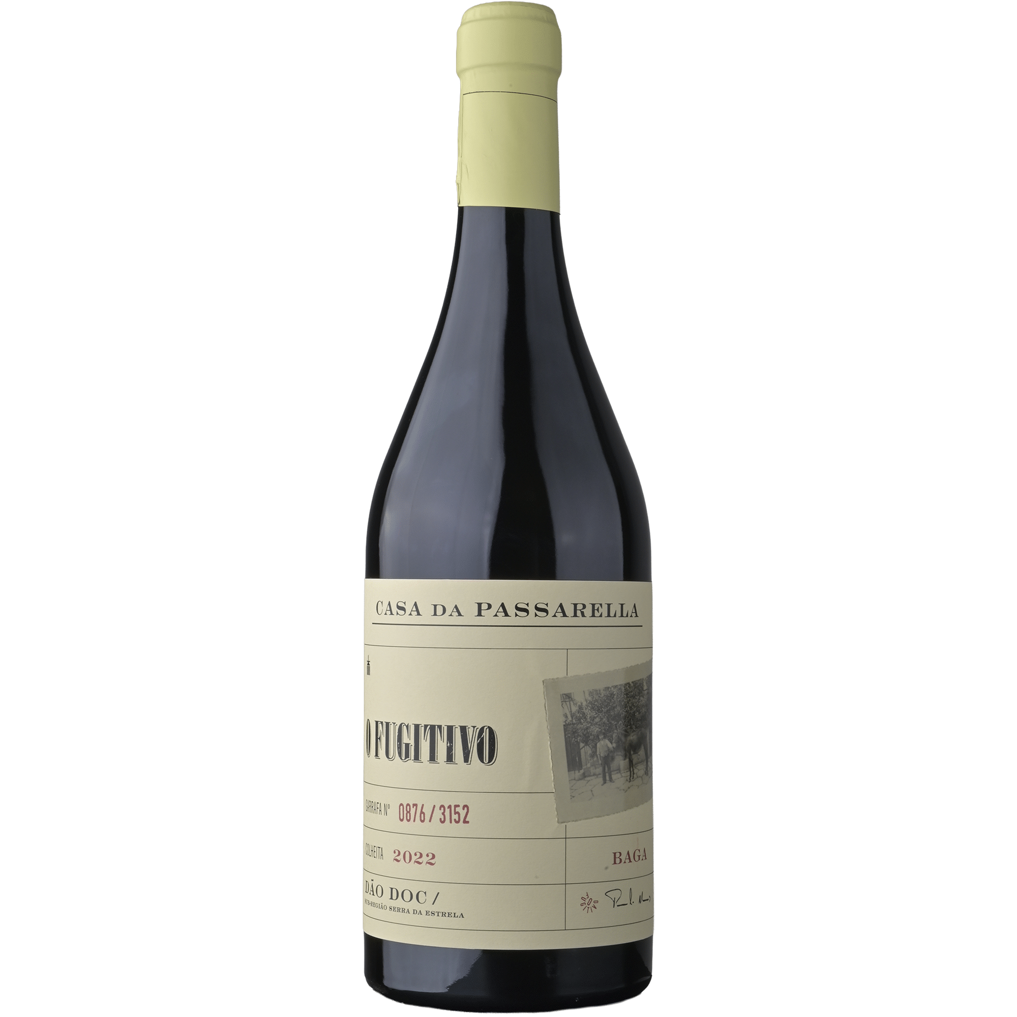 Casa da Passarella O Fugitivo Baga D&atilde;o Vinho Tinto