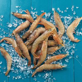 Camarão Selvagem Madagáscar 20/30 Congelado