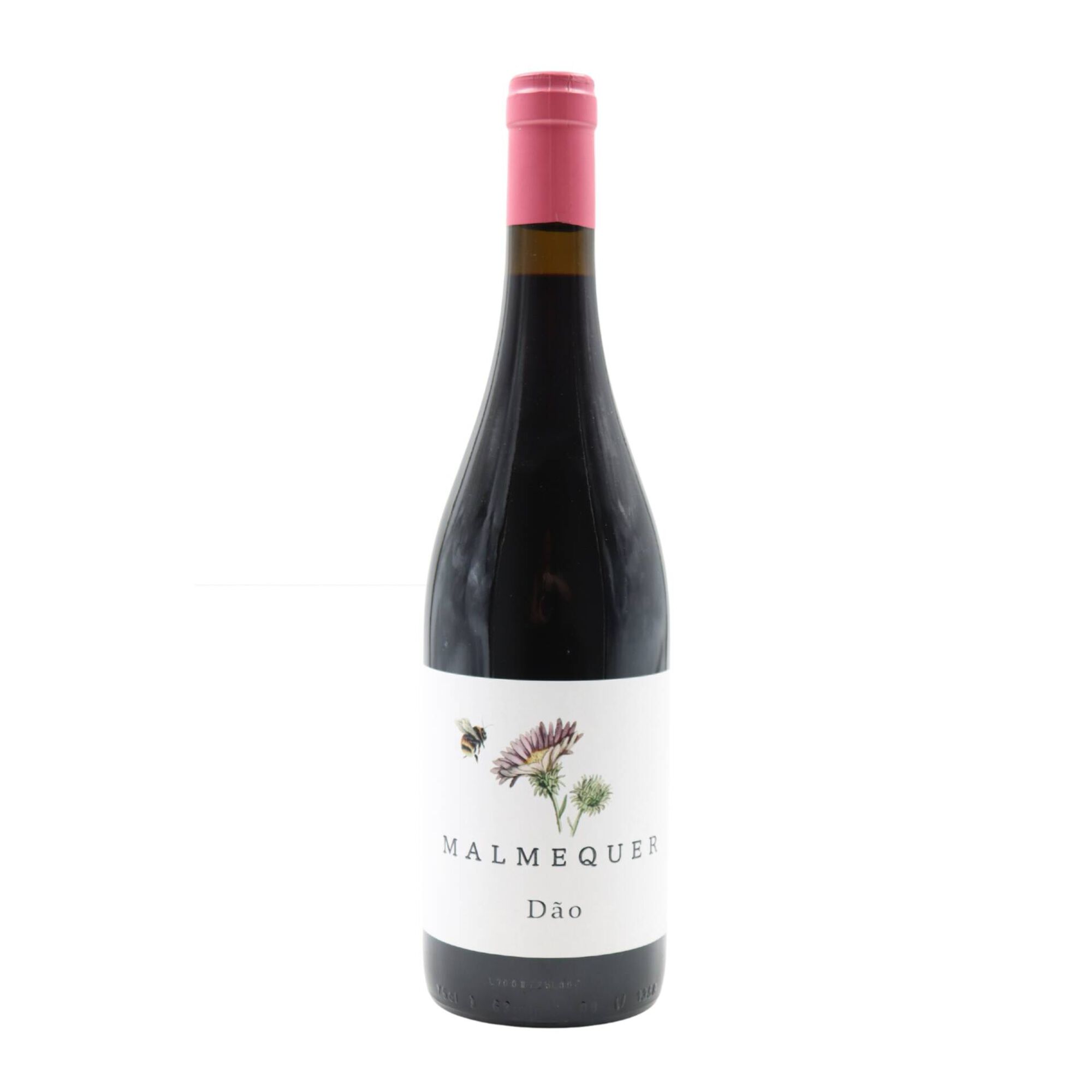 Malmequer D&atilde;o Vinho Tinto