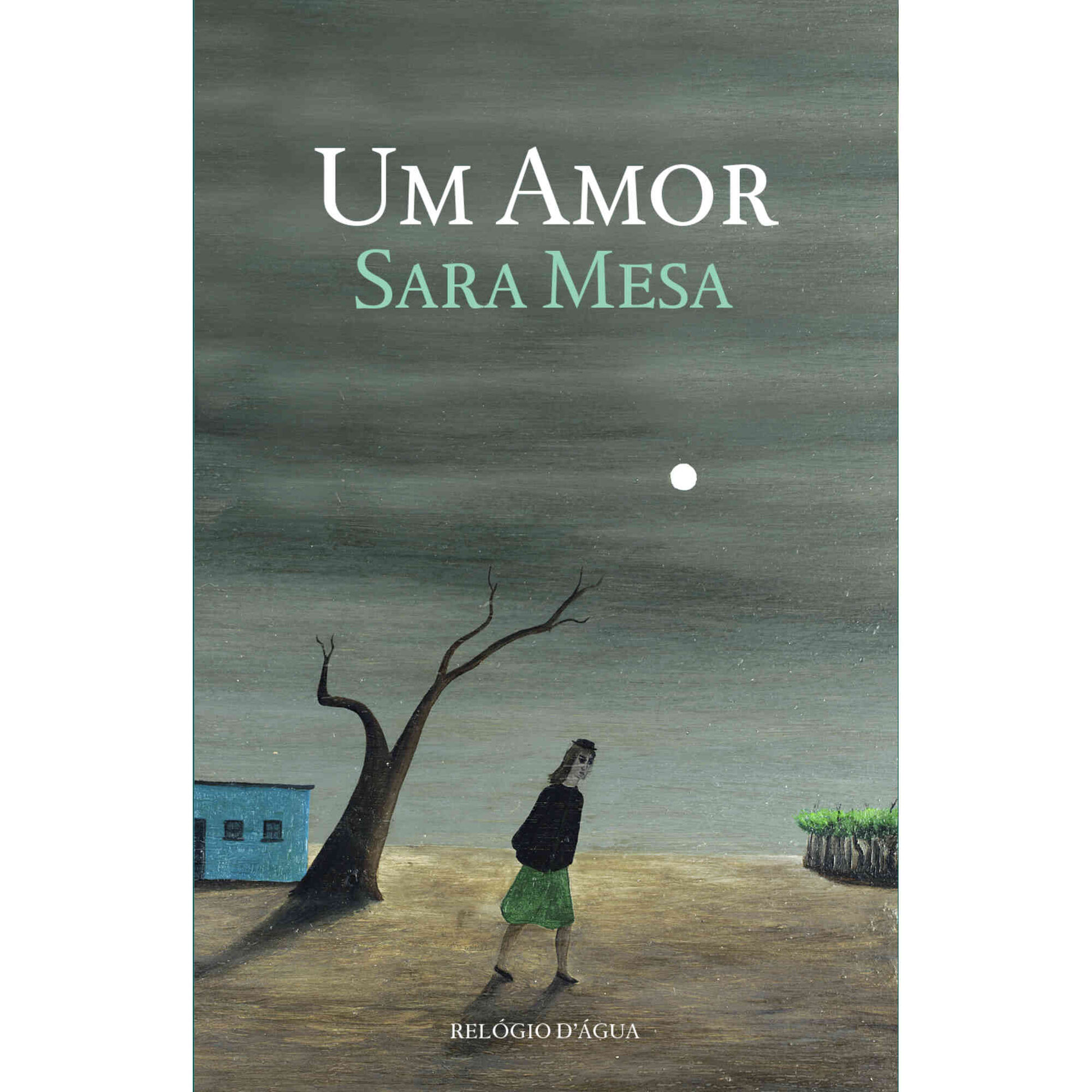 Um Amor de Sara Mesa