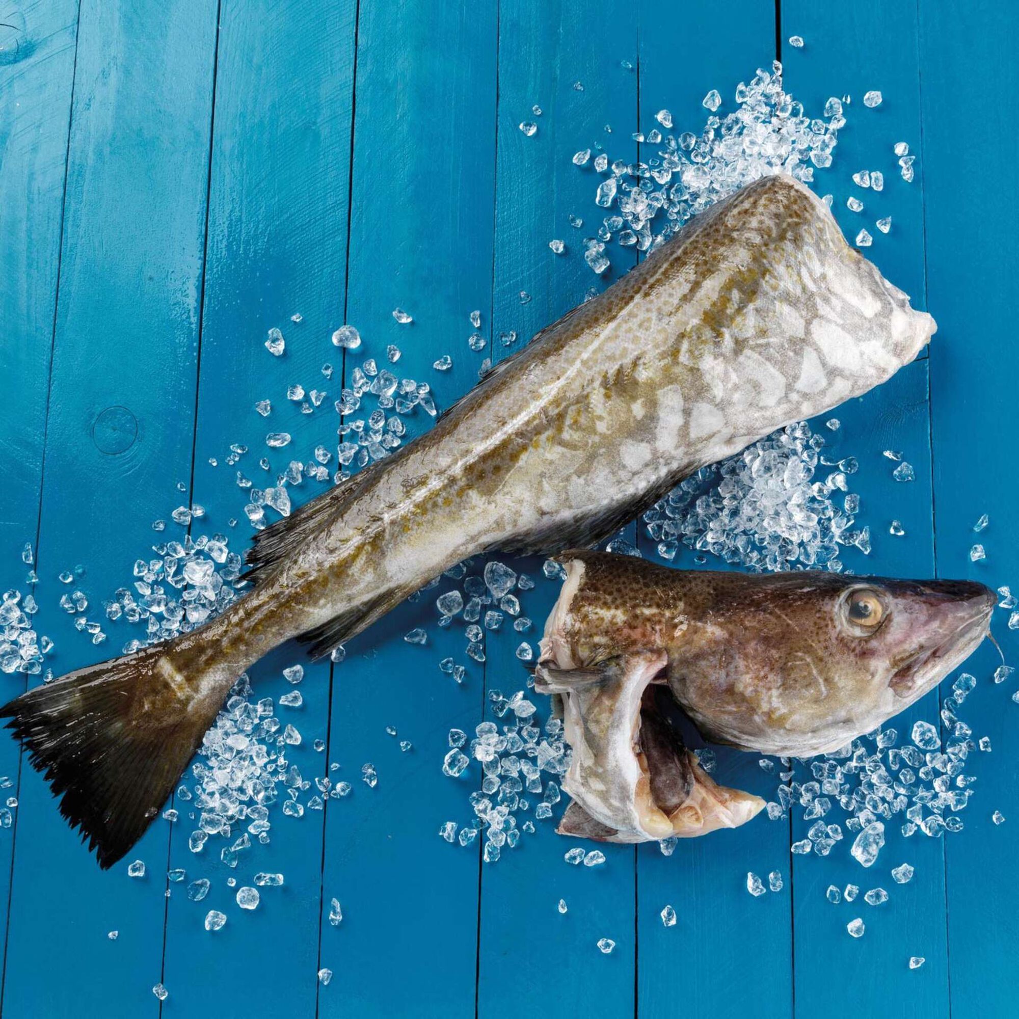 Bacalhau Fresco