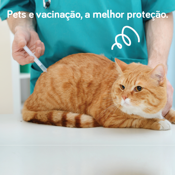 Pets e Vacina&ccedil;&atilde;o