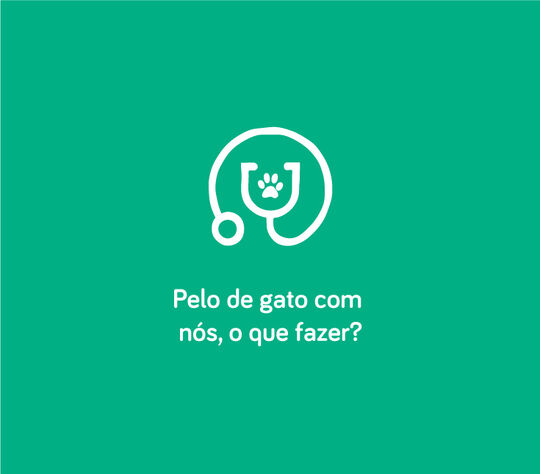 Pelo do gato com n&oacute;s, o que fazer?
