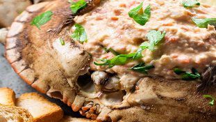 Recheio de Sapateira