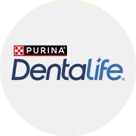 Dentalife