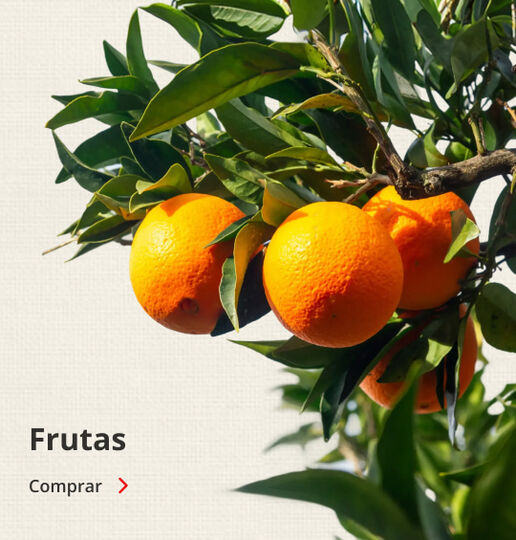 Frutas