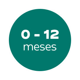 0 a 12 meses