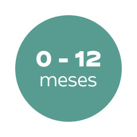 0 a 12 meses 0 a 12 meses