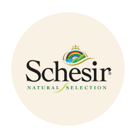 Schesir