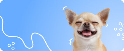 C&atilde;o