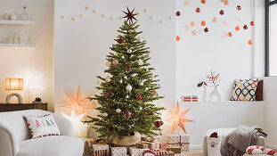 Ideias para decoração