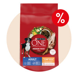 Alimenta&ccedil;&atilde;o para C&atilde;o