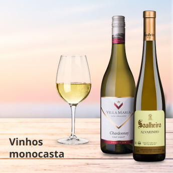 Vinhos monocasta