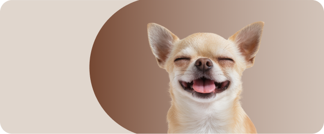 C&atilde;o