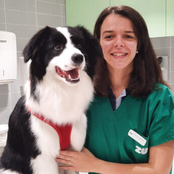 Veterin&aacute;ria C&atilde;o