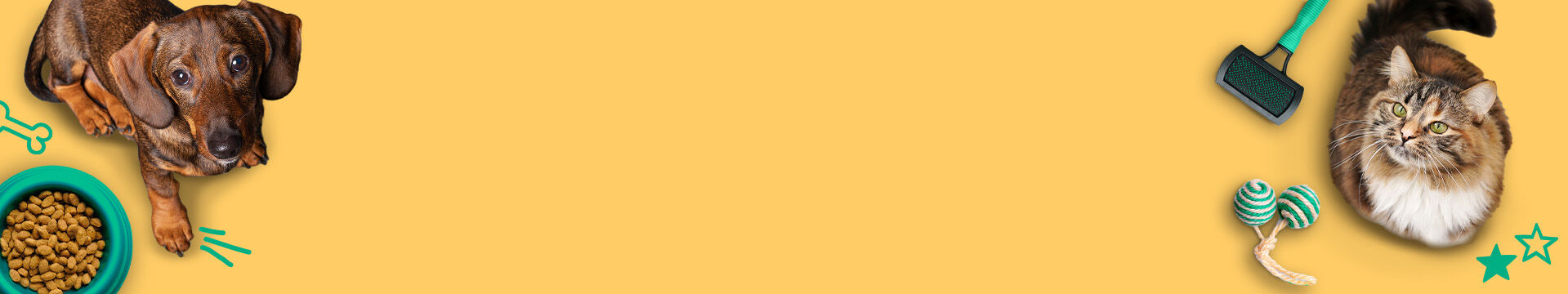 Cuidamos do seu melhor amigo