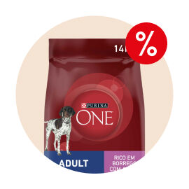 Alimenta&ccedil;&atilde;o C&atilde;o