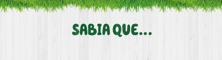 Sabia que...