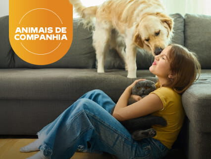 Animais de companhia. Pre&ccedil;os de melhor amigo