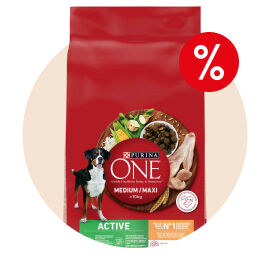  Alimenta&ccedil;&atilde;o Seca