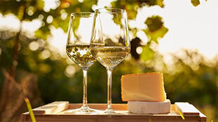 Vinhos para acompanhar queijos intensos