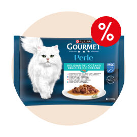 H&uacute;midos e Snacks para Gato