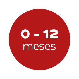 0 a 12 meses